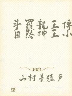 斗罗龙王传说之自然神王小说封面