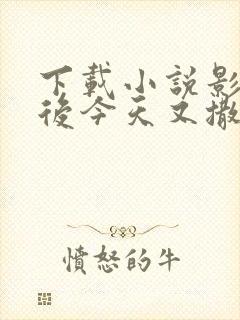 下载小说影帝影后今天又撒糖了封面