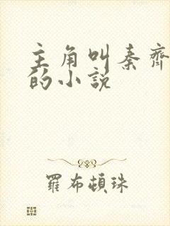 主角叫秦齐林洁的小说