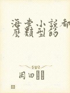 海棠小说都是什么类型的