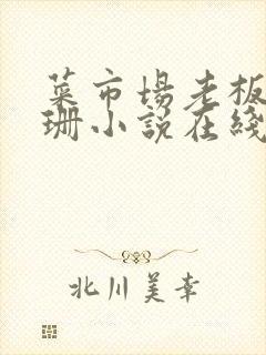 菜市场老板李芷珊小说在线阅读