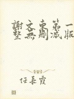 谢文东第一季完整无删减版封面