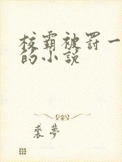 校霸被罚一整天的小说