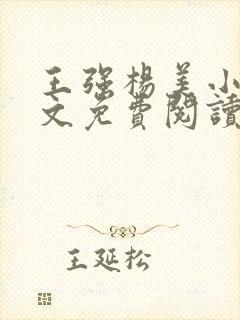 王强杨美小说全文免费阅读最新章节封面