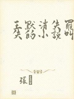 王默消失罗丽消失的小说叫什么