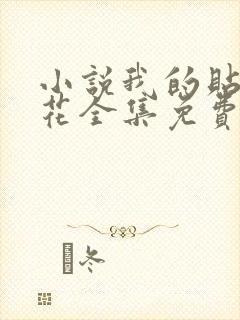 小说我的贴身校花全集免费