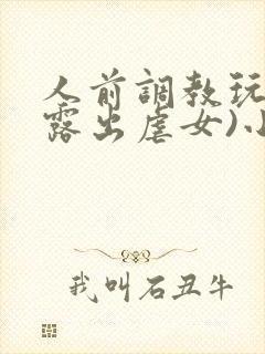 人前调教玩弄(露出虐女)小说