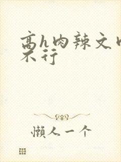 高h肉辣文肉别不行