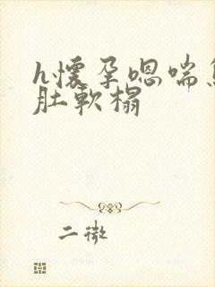 h怀孕嗯喘息孕肚软榻