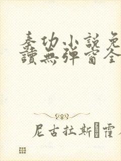 秦功小说免费阅读无弹窗全文