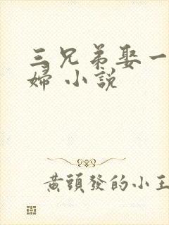 三兄弟娶一个媳妇 小说封面