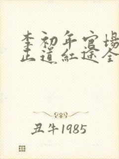 李初年官场小说正道红途全文阅读