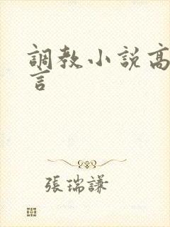 调教小说高h古言