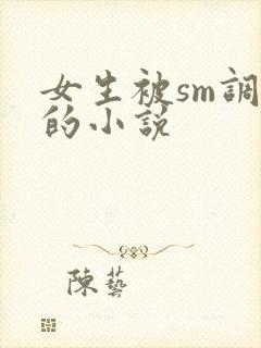 女生被sm调教的小说