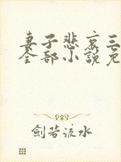 妻子悲哀三部曲全部小说免费阅读