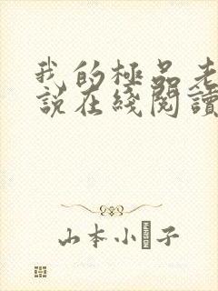 我的极品老婆小说在线阅读