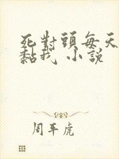 死对头每天都在黏我 小说