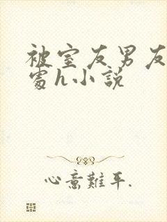 被室友男友破了处h小说