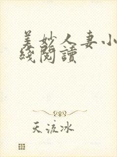 美妙人妻小说在线阅读