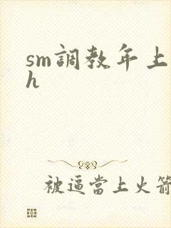 sm调教年上乖h