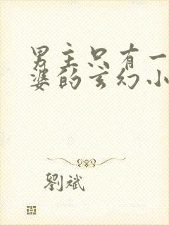 男主只有一个老婆的玄幻小说