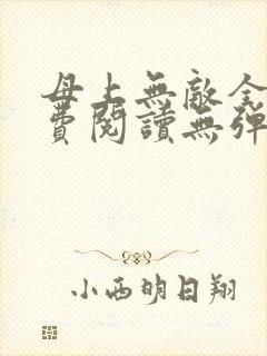 母上无敌全文免费阅读无弹窗笔趣阁封面