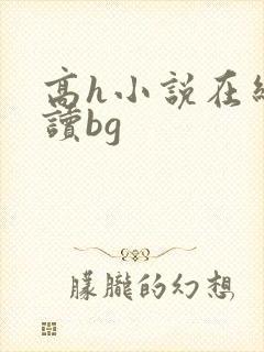 高h小说在线阅读bg