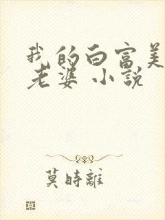 我的白富美总裁老婆 小说封面