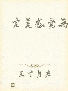 完美感觉无删减