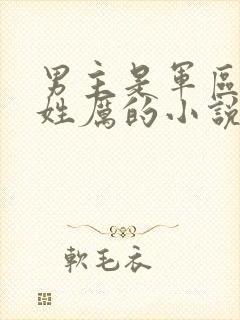 男主是军区首长姓厉的小说