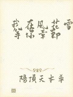 我在风花雪月里等你章节