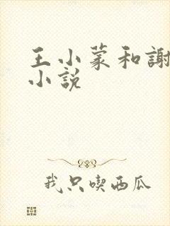 王小蒙和谢广坤小说