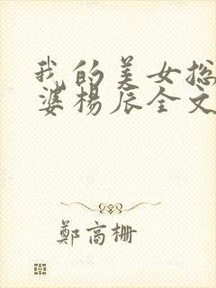 我的美女总裁老婆杨辰全文免费阅读