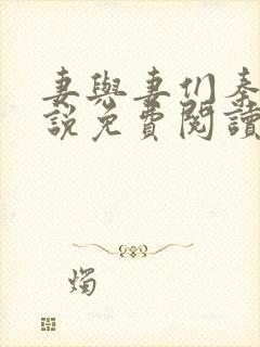 妻与妻们秦岚小说免费阅读最新章节封面