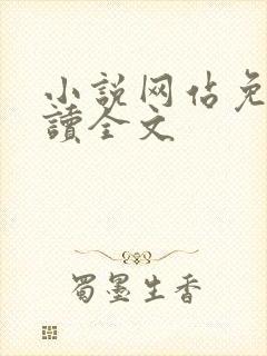 小说网站免费阅读全文