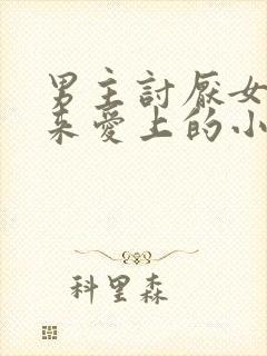 男主讨厌女主后来爱上的小说封面