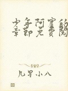 少年阿宾的最新章节免费阅读