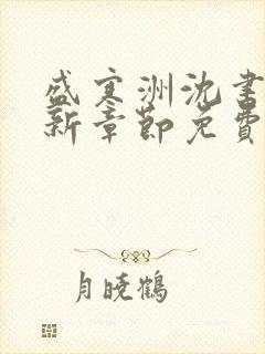 盛寒洲沈书棠最新章节免费阅读全文封面