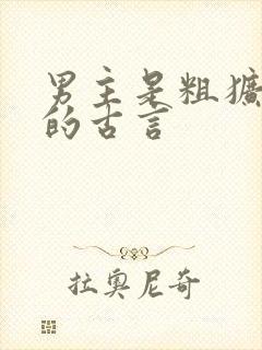 男主是粗犷将军的古言