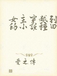 女主穿越到古代的小说种田文