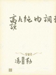 高h纯肉调教小说