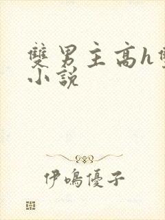 双男主高h双性小说