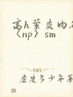高h荤爽肉欲文〈np〉sm