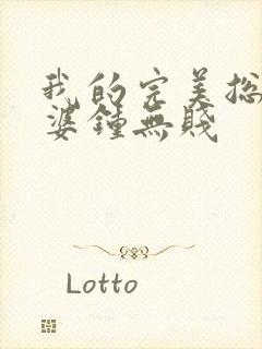 我的完美总裁老婆钟无贱