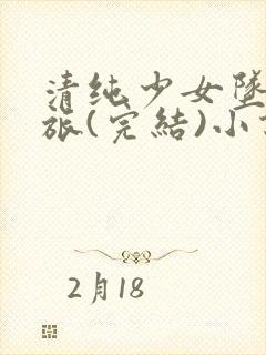 清纯少女坠落之旅(完结)小说封面