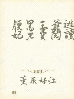 腹黑王爷逃跑王妃免费阅读封面