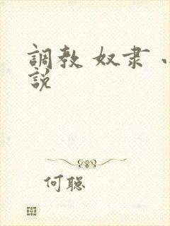 调教 奴隶 小说