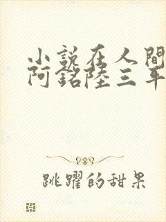 小说在人间采薇阿铭陆三平免费阅读