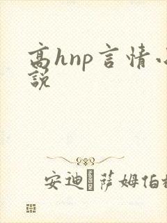 高hnp言情小说