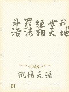 斗罗绝世我霍雨浩法相天地笔趣阁封面